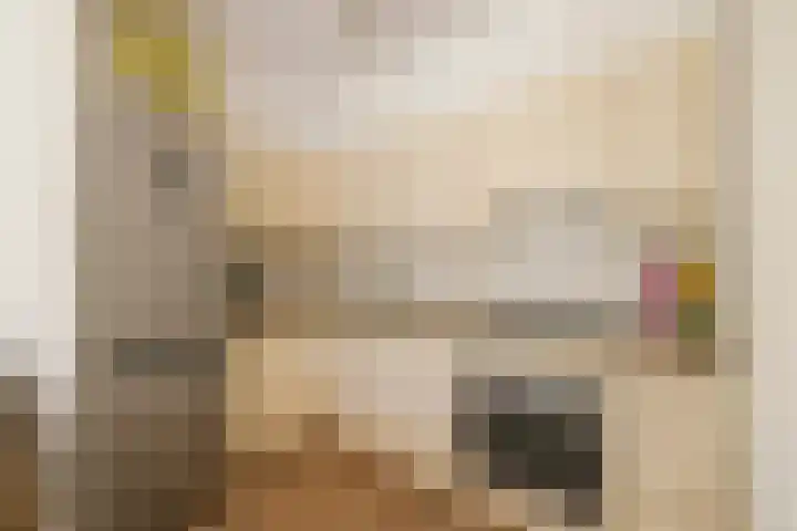 Kopslaan 11 Santpoort-Zuid thumbnail 6
