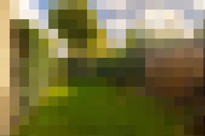Kopslaan 26 Santpoort-Zuid thumbnail 5