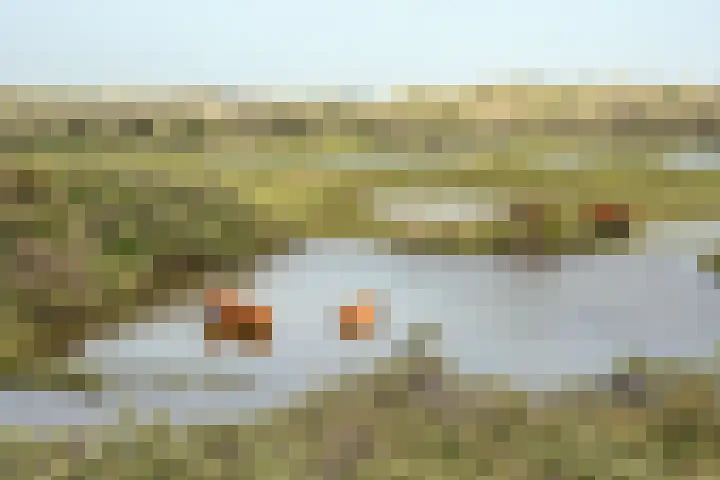 Kopslaan 28 Santpoort-Zuid thumbnail 30