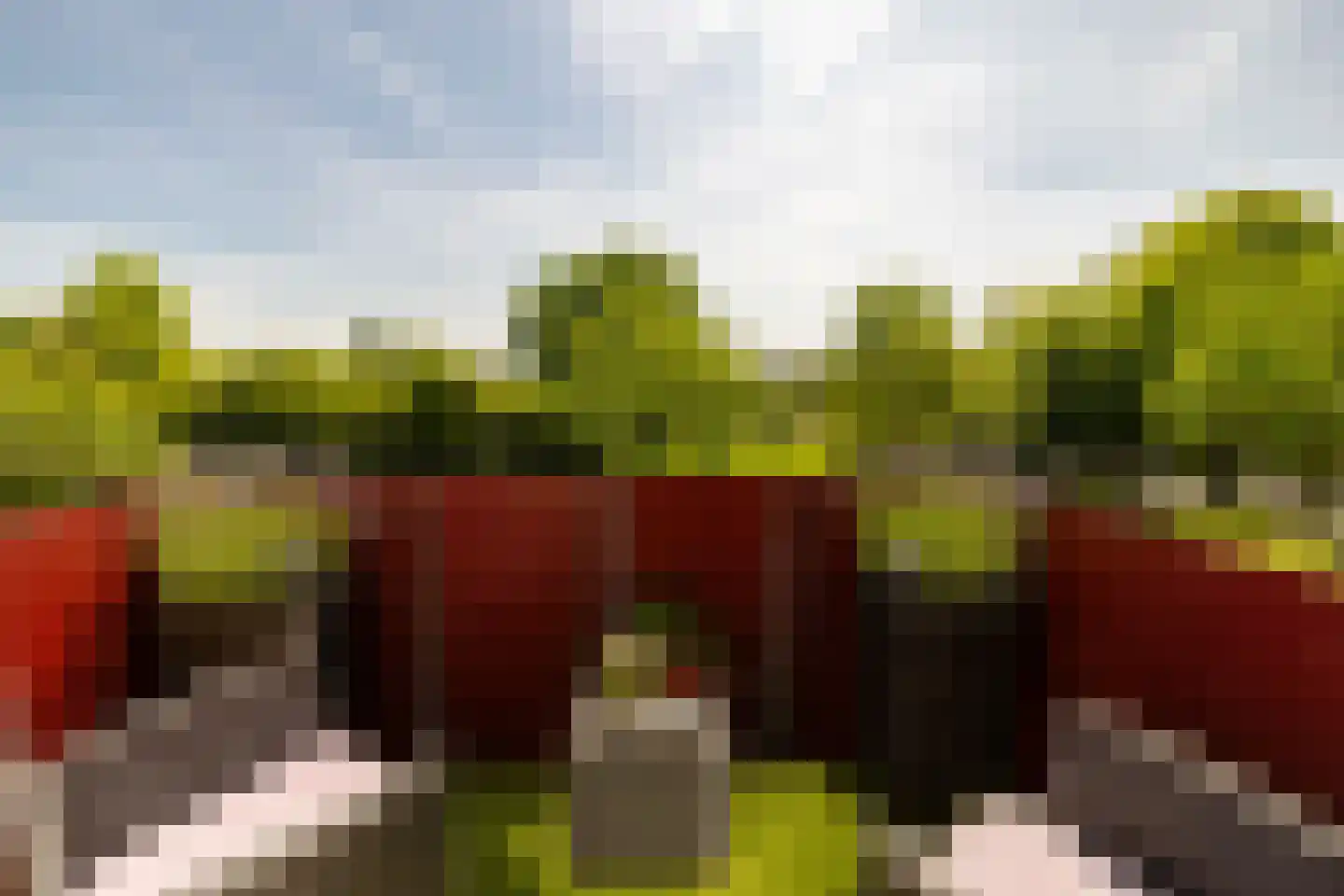 Kopslaan 33 Santpoort-Zuid thumbnail 5