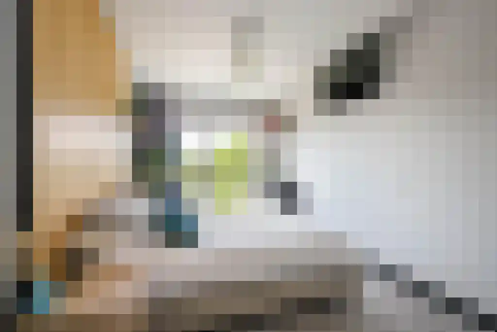 Kopspoor 111 Capelle aan den IJssel thumbnail 16