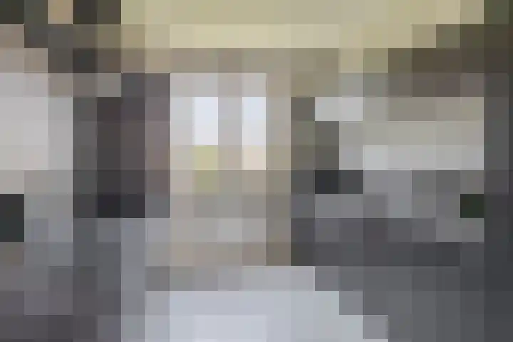 Kopspoor 133 Capelle aan den IJssel thumbnail 16