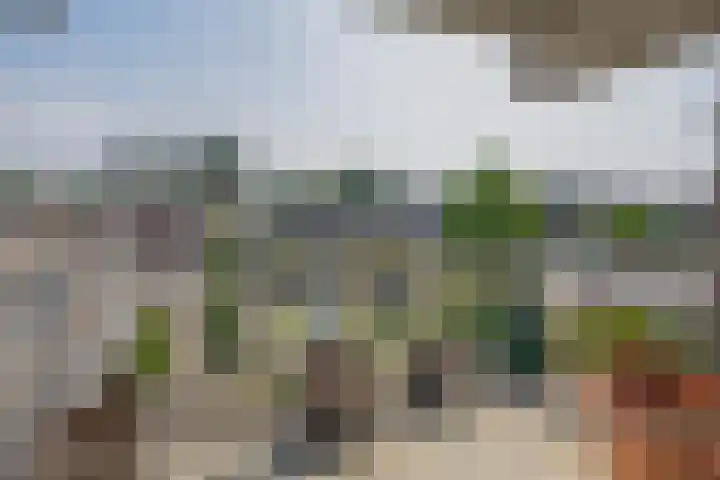 Kopspoor 133 Capelle aan den IJssel thumbnail 26