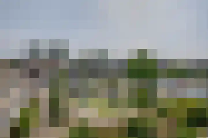 Kopspoor 133 Capelle aan den IJssel thumbnail 29