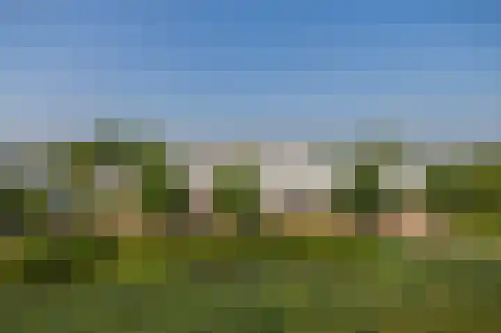 Kopspoor 133 Capelle aan den IJssel thumbnail 30