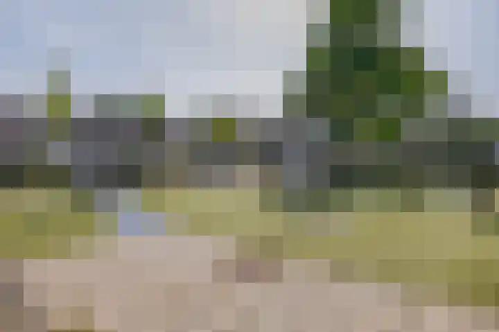 Kopspoor 133 Capelle aan den IJssel thumbnail 31