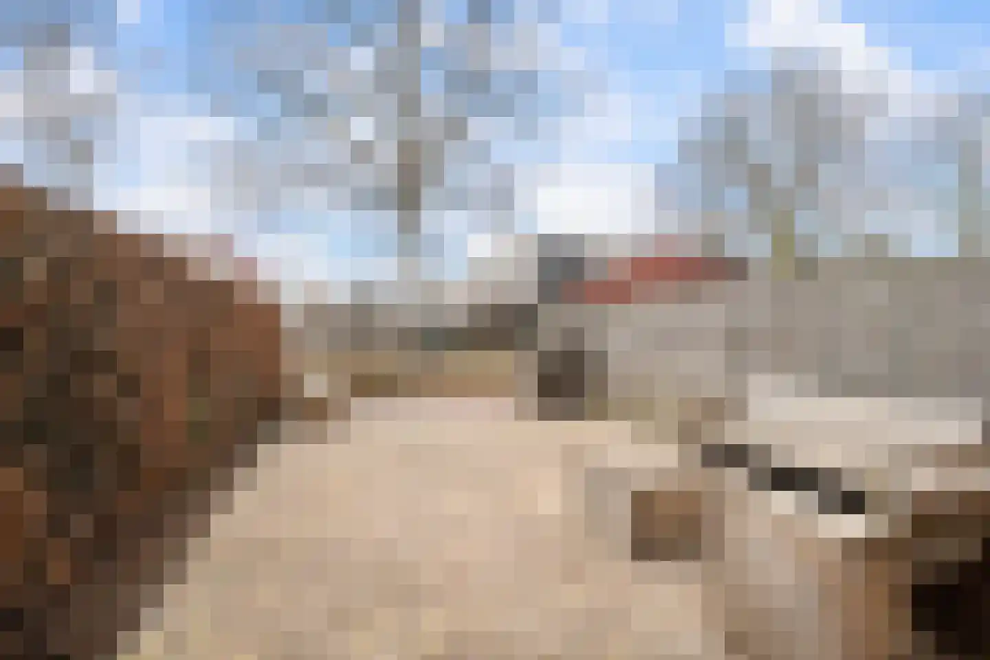 Kopspoor 51 Capelle aan den IJssel thumbnail 7