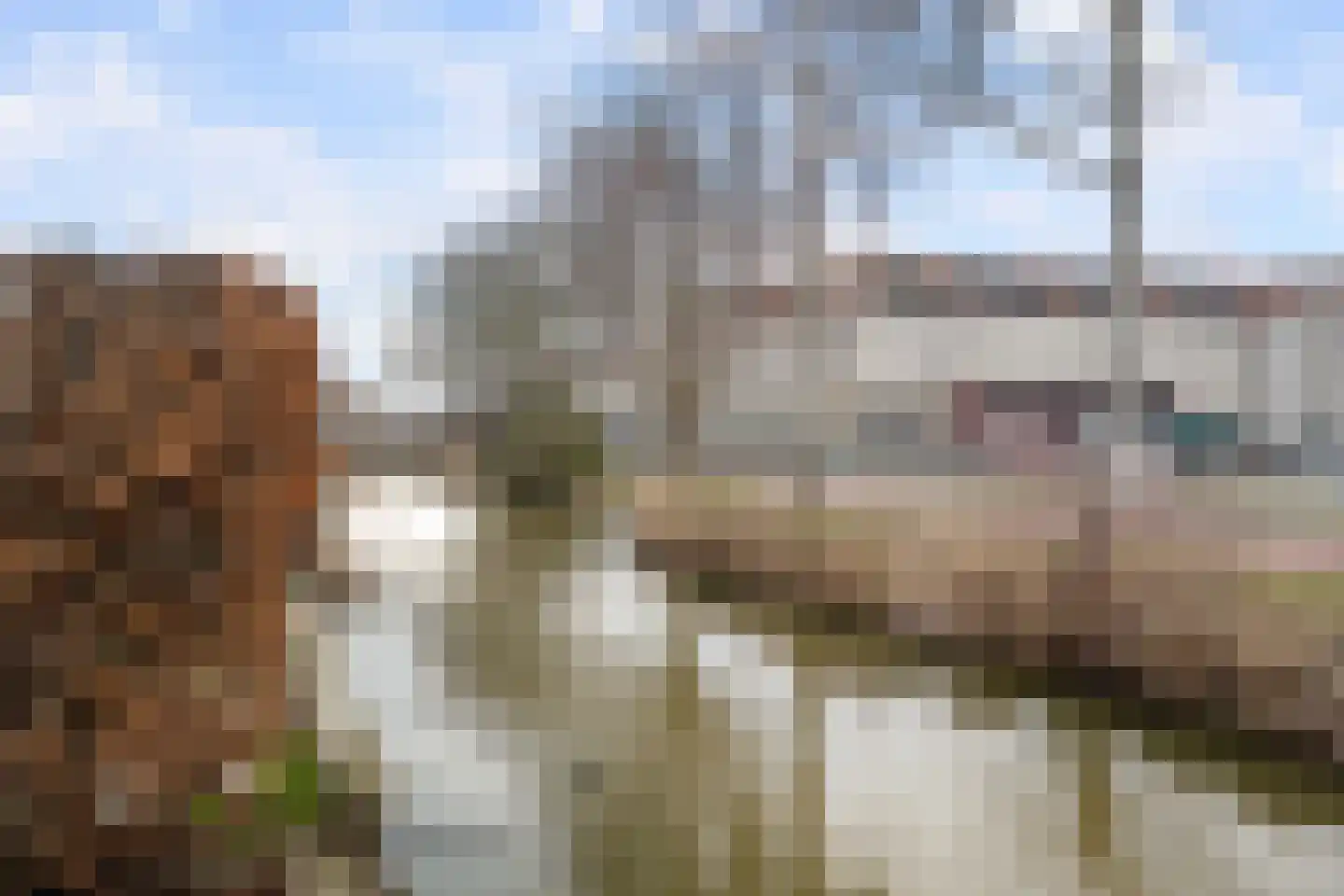 Kopspoor 51 Capelle aan den IJssel thumbnail 8