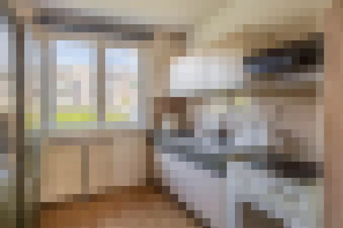 Kopspoor 62 Capelle aan den IJssel thumbnail 17