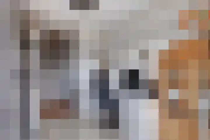 Kopspoor 83 Capelle aan den IJssel thumbnail 23