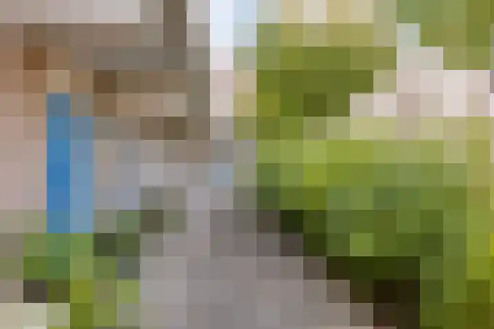 Kopspoor 83 Capelle aan den IJssel thumbnail 37