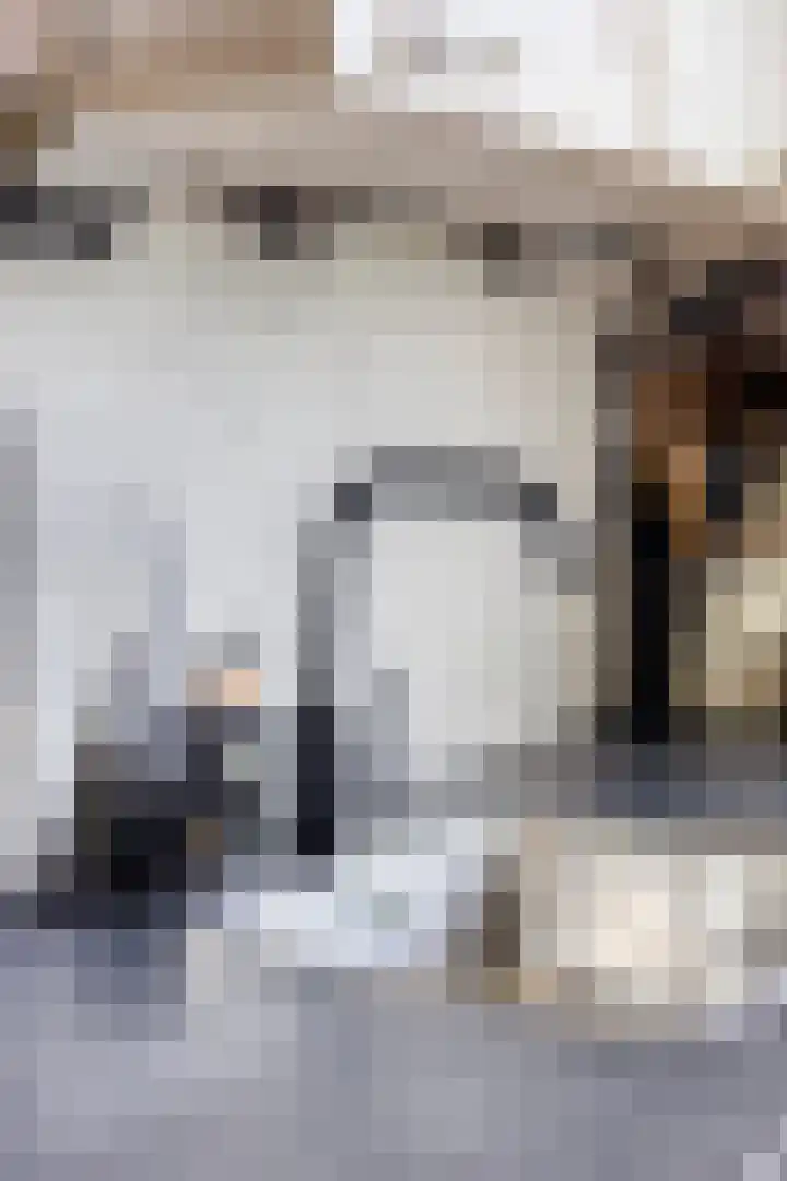 Kopspoor 83 Capelle aan den IJssel thumbnail 9