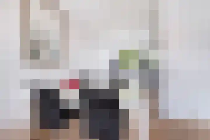 Kopspoor 89 Capelle aan den IJssel thumbnail 15