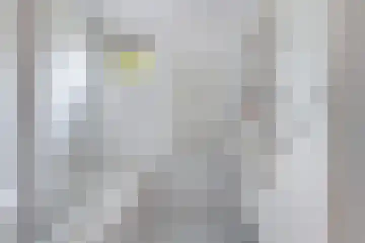 Kopspoor 89 Capelle aan den IJssel thumbnail 26