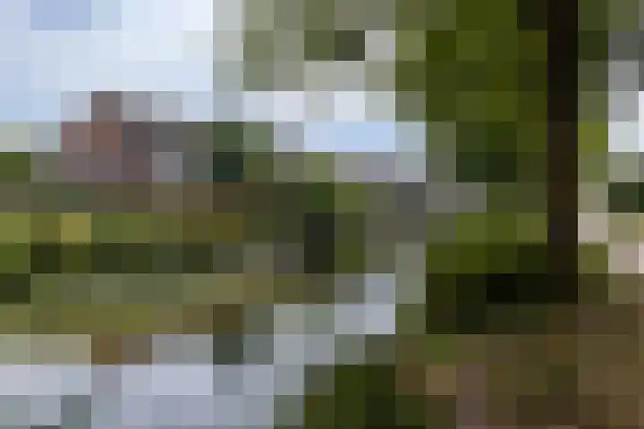 Kopspoor 89 Capelle aan den IJssel thumbnail 35