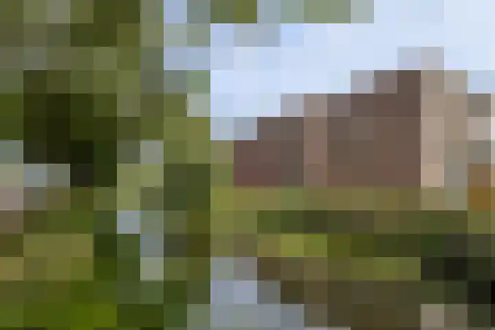Kopspoor 89 Capelle aan den IJssel thumbnail 37