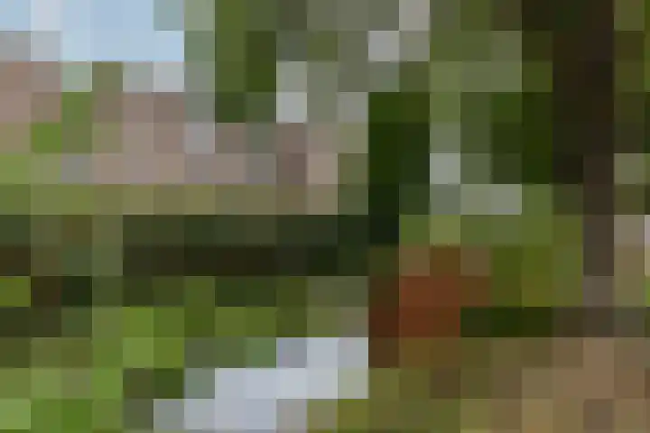 Kopspoor 89 Capelle aan den IJssel thumbnail 6