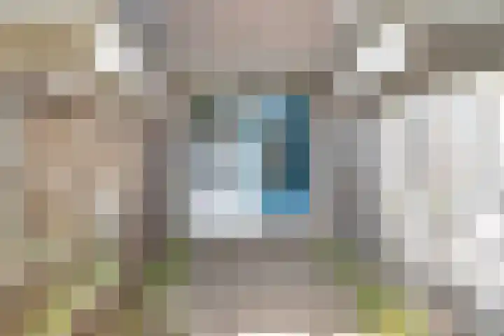 Kopspoor 99 Capelle aan den IJssel thumbnail 29