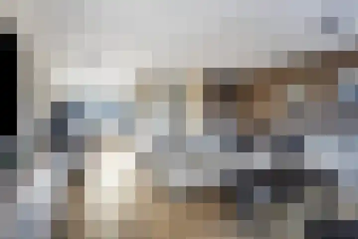 Kopstuk 13 Arnhem thumbnail 14