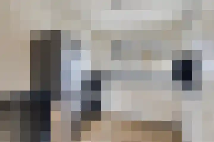 Kopstuk 13 Arnhem thumbnail 17