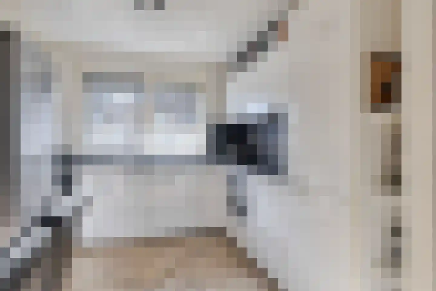 Kopstuk 13 Arnhem thumbnail 18