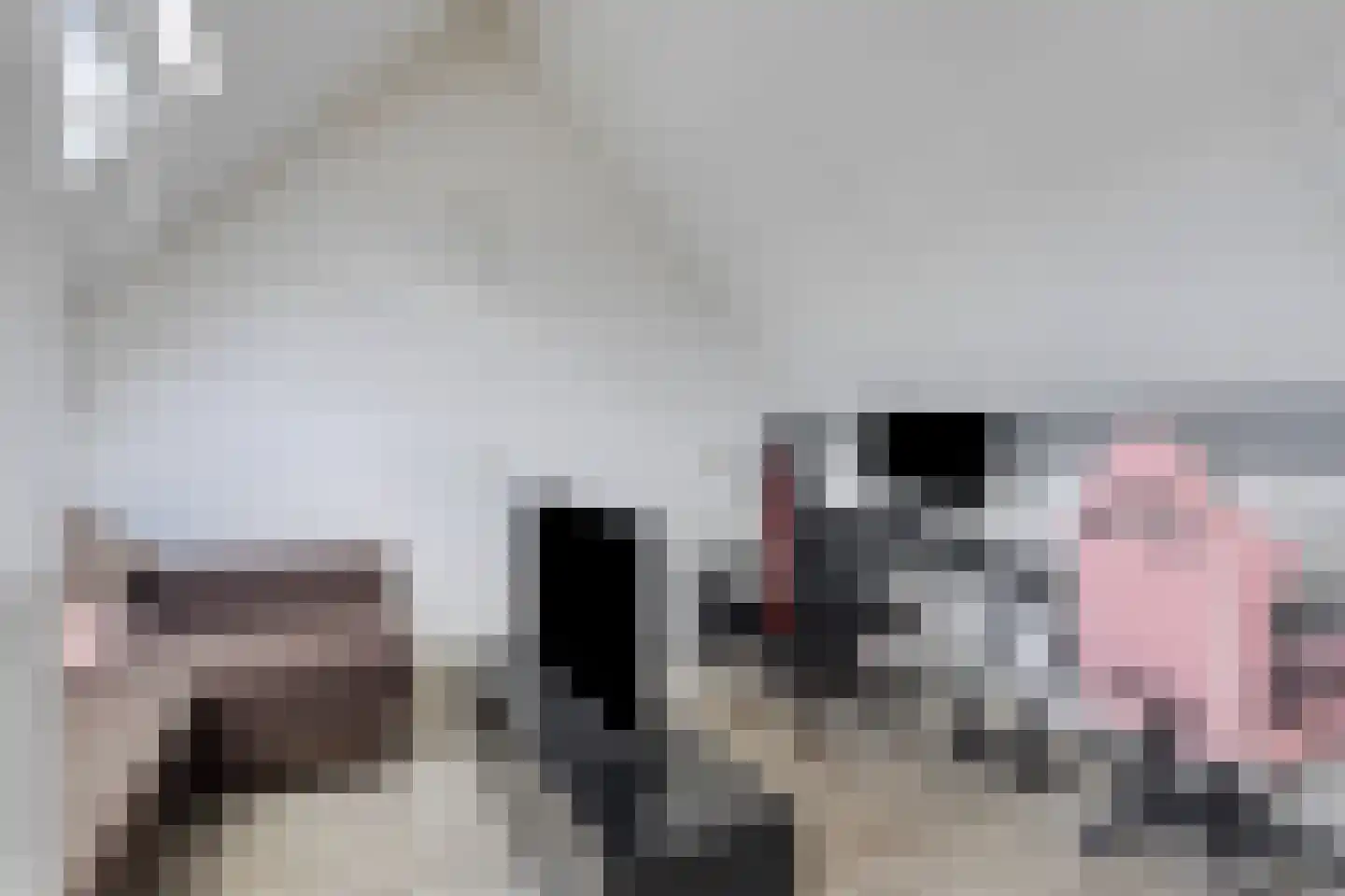 Kopstuk 13 Arnhem thumbnail 32
