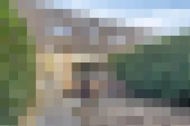 Kopstuk 13 Arnhem thumbnail 37