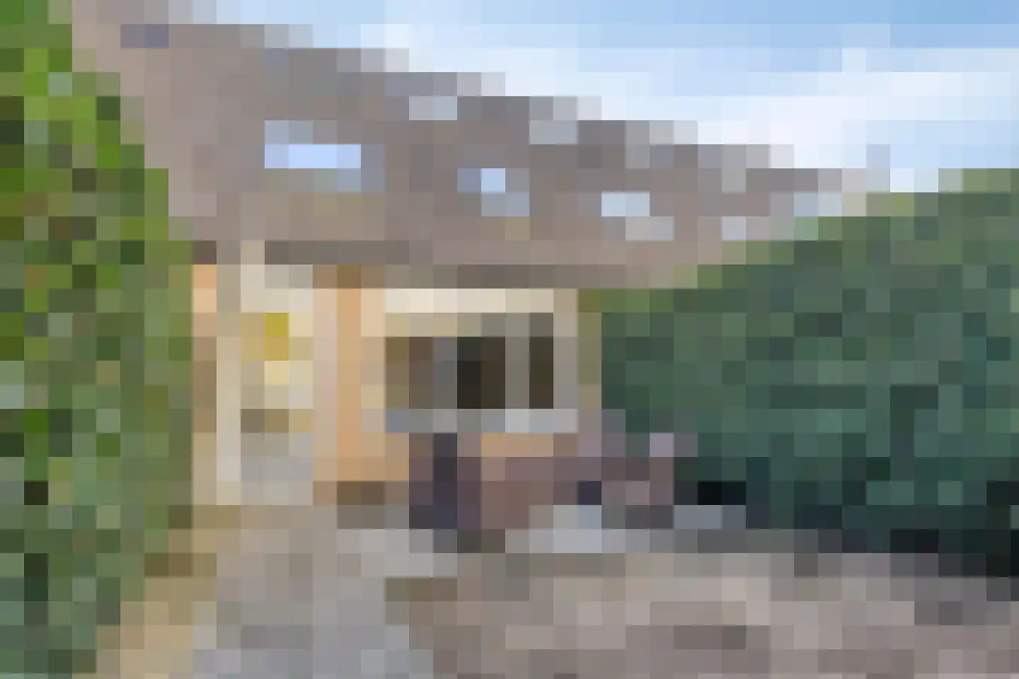 Kopstuk 13 Arnhem thumbnail 37