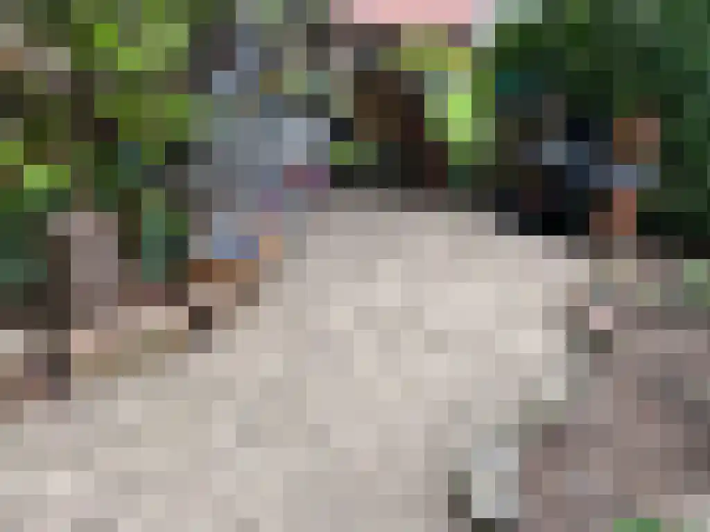 Kopstukken 12 Mussel thumbnail 100