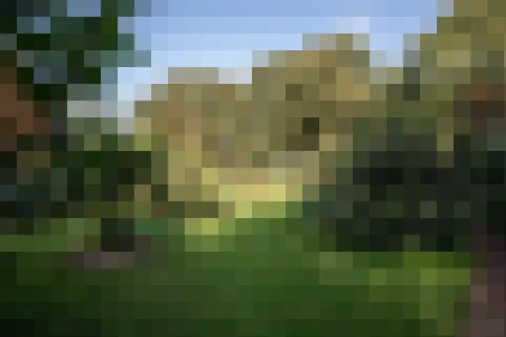 Kopstukken 12 Mussel thumbnail 102
