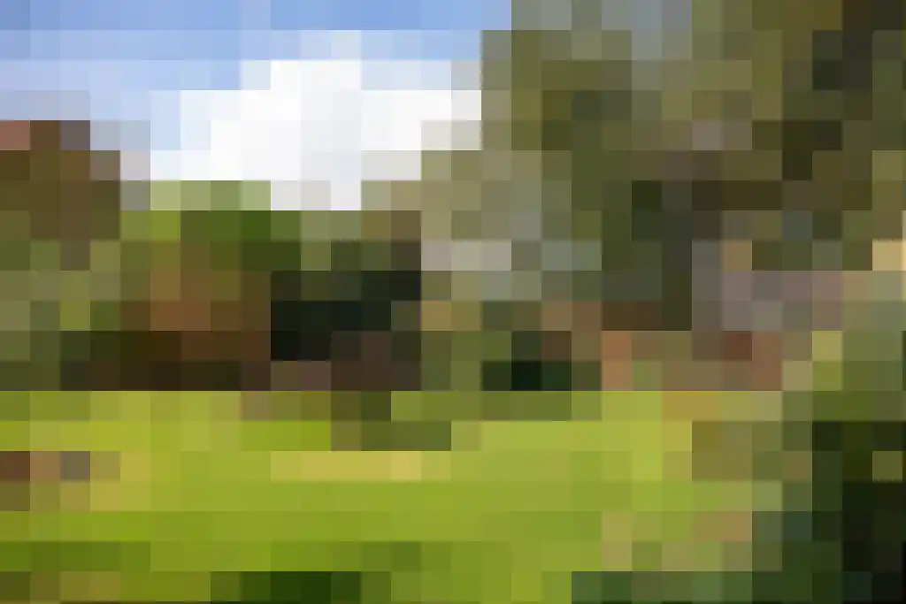 Kopstukken 12 Mussel thumbnail 103