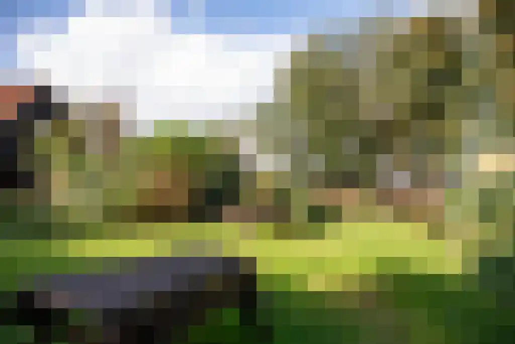Kopstukken 12 Mussel thumbnail 105