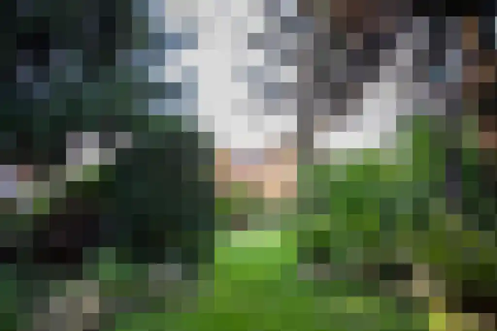 Kopstukken 12 Mussel thumbnail 106