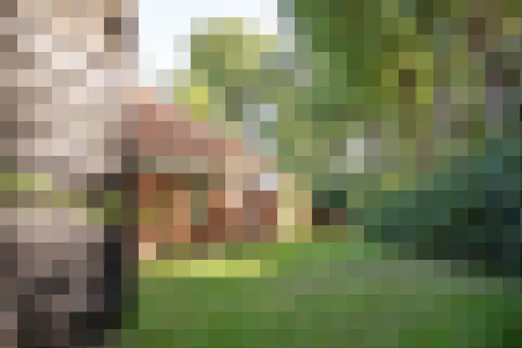 Kopstukken 12 Mussel thumbnail 107