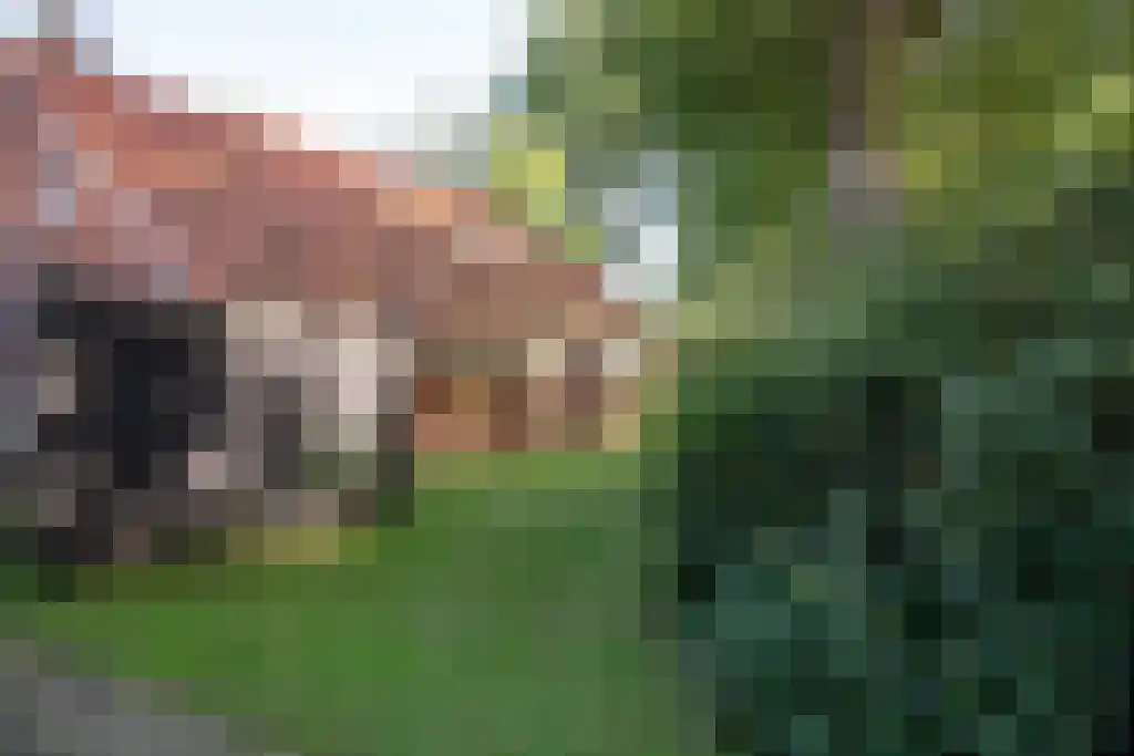 Kopstukken 12 Mussel thumbnail 108