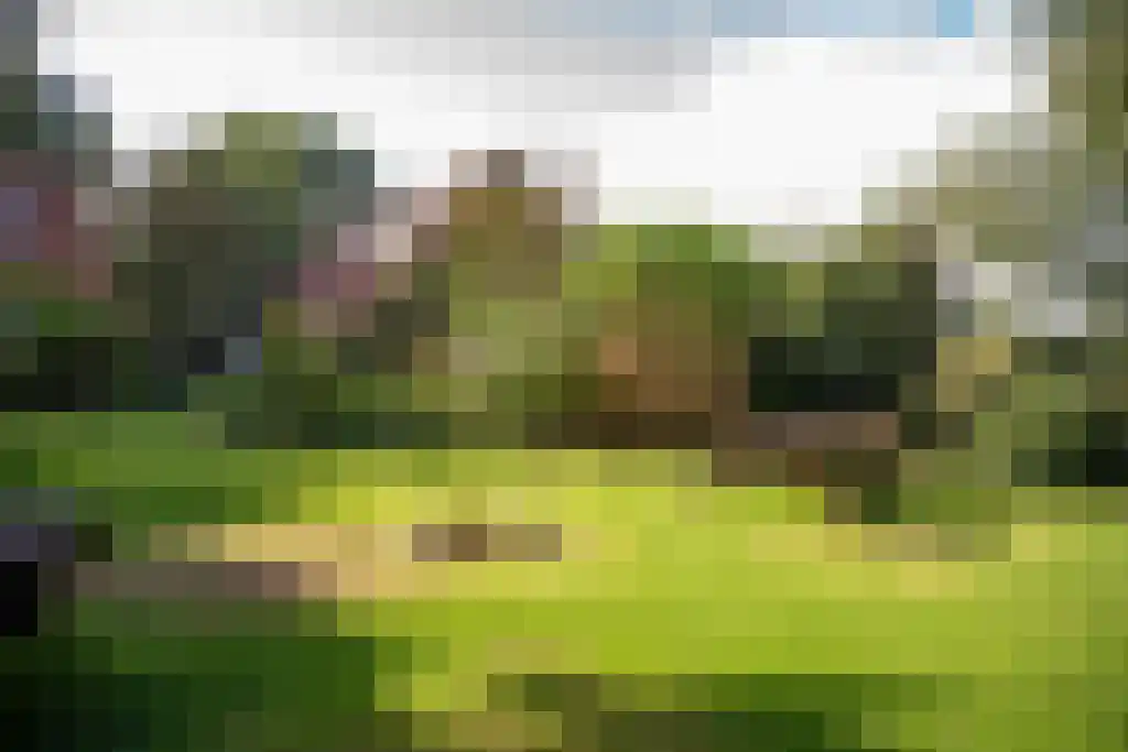 Kopstukken 12 Mussel thumbnail 11
