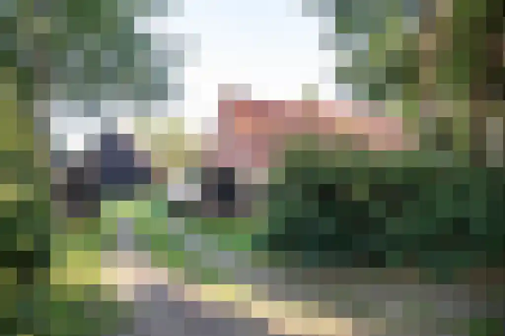 Kopstukken 12 Mussel thumbnail 13
