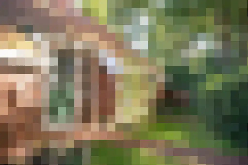 Kopstukken 12 Mussel thumbnail 15