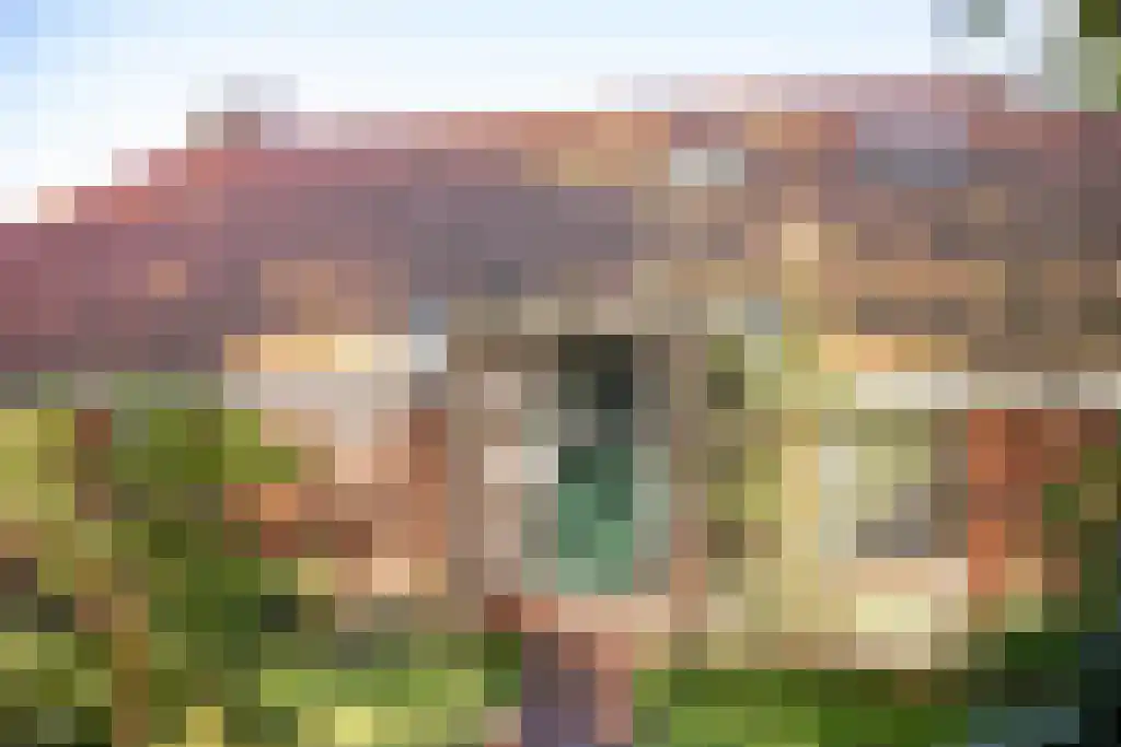 Kopstukken 12 Mussel thumbnail 16