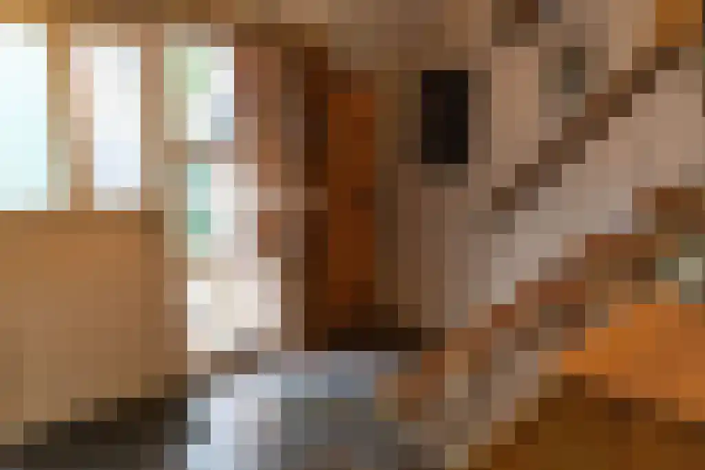 Kopstukken 12 Mussel thumbnail 17