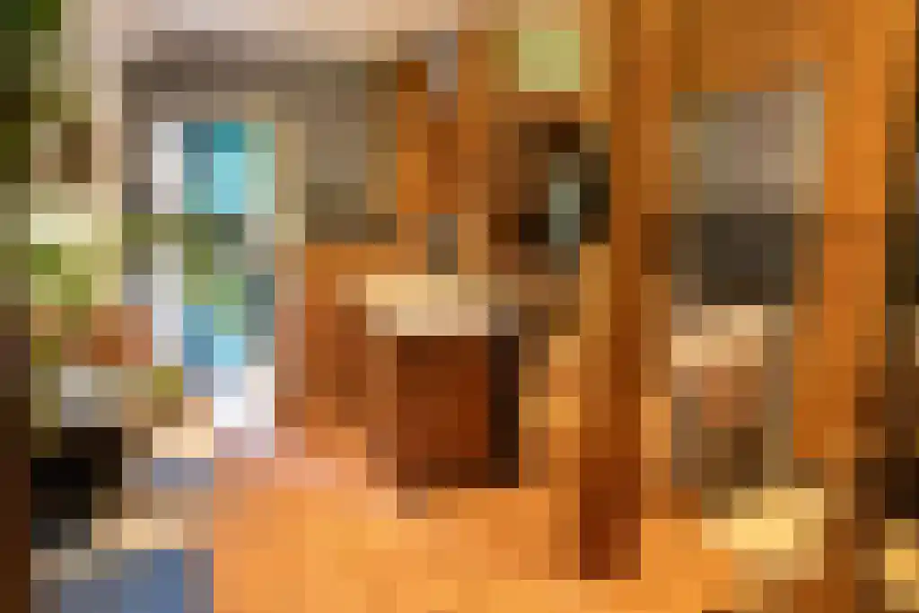 Kopstukken 12 Mussel thumbnail 40