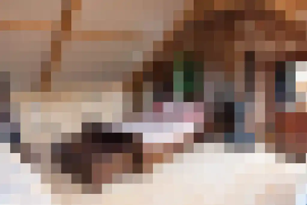 Kopstukken 12 Mussel thumbnail 61