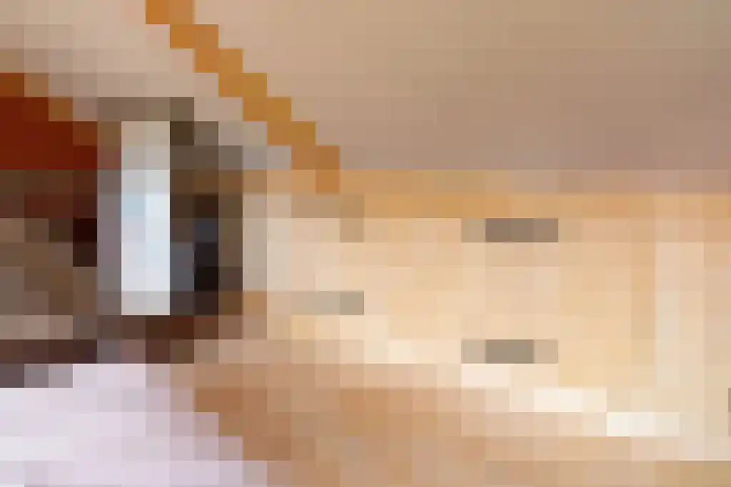 Kopstukken 12 Mussel thumbnail 67