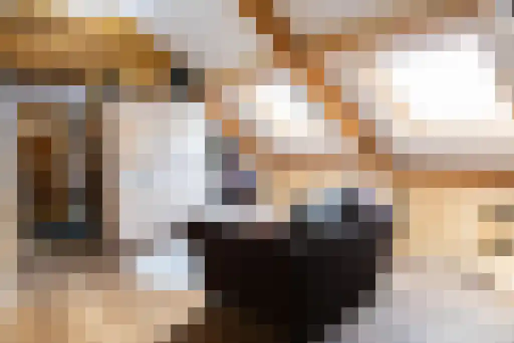 Kopstukken 12 Mussel thumbnail 69