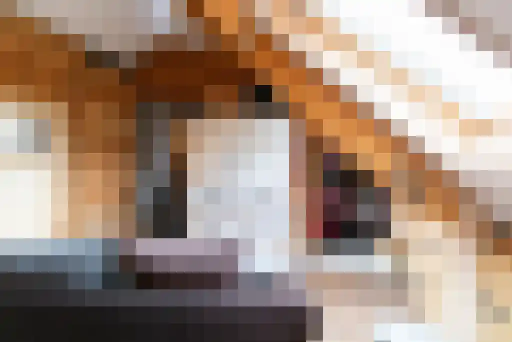 Kopstukken 12 Mussel thumbnail 70