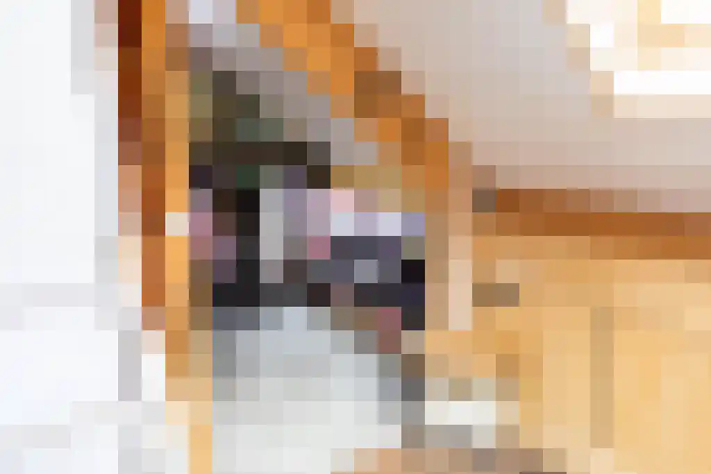 Kopstukken 12 Mussel thumbnail 71