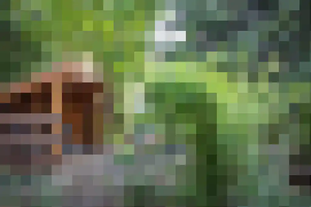 Kopstukken 12 Mussel thumbnail 80