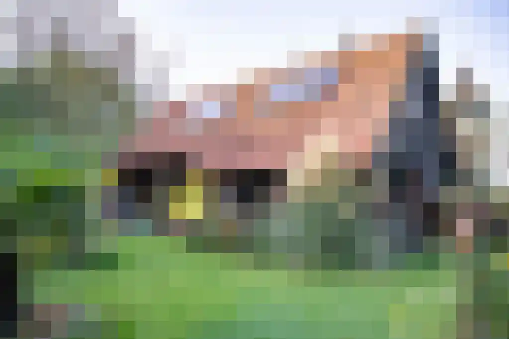 Kopstukken 12 Mussel thumbnail 82