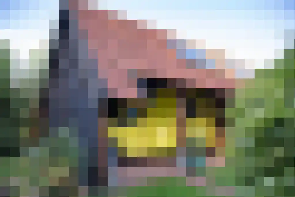 Kopstukken 12 Mussel thumbnail 83