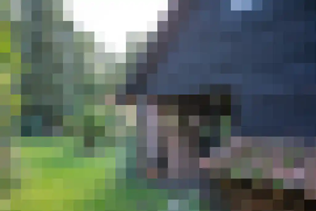 Kopstukken 12 Mussel thumbnail 86